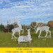 设计不锈钢编织鹿雕塑联系方式,安装不锈钢编织鹿雕塑报价