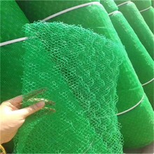 广西玉林麻椰固土毯供应,EM5三维土工网垫厂家图片