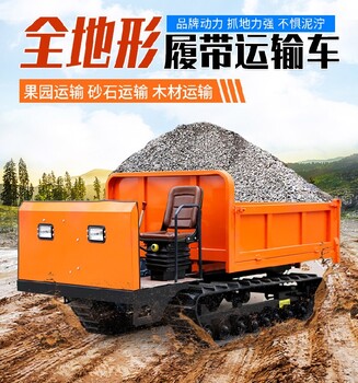 山鼎山地小型履帶車,懷化多功能山地履帶運輸車出售