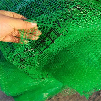 山东菏泽抗冲生物毯生产,三层边坡土工网垫厂家