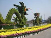 福建三明建寧縣菊花造型源頭生產(chǎn)基地
