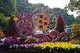 山東臨沂郯城縣菊花造型源頭生產(chǎn)基地