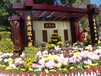 呂梁柳林縣菊花造型種植基地