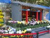 江蘇徐州邳州市菊花造型菊花種植基地