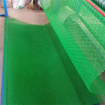 湖北襄樊挂三维网植草护坡厂家,三维植被网EM3厂家