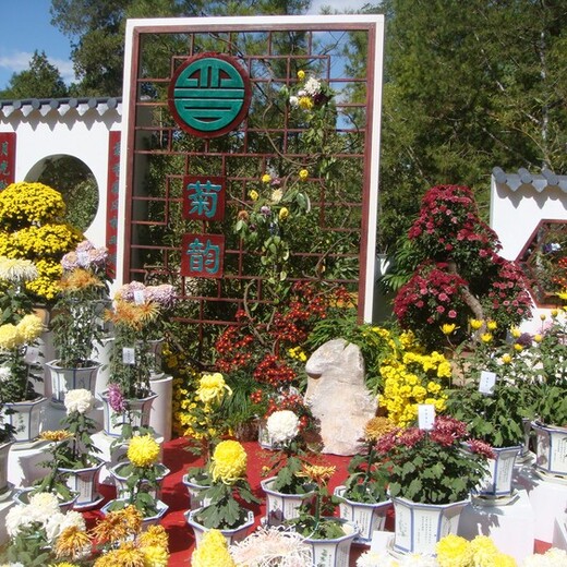 東陽菊花展按需定制