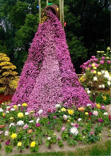 淮陰菊花展多年行業(yè)經(jīng)驗(yàn)技術(shù)