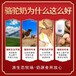 青海驼之福初乳驼乳粉适用对象，初乳驼乳粉