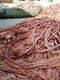 黑龙江施工剩余电缆回收铜缆图