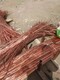 废旧电缆电线回收图