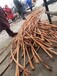 江苏泰州废铜电线电缆回收厂家回收