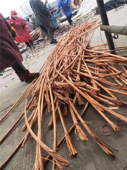 上海松江橡套电缆矿缆回收回收价格表