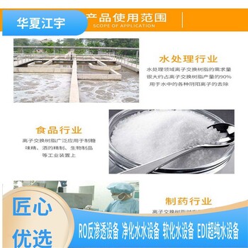 中牟洗手液10噸軟化水設備純化水軟化器進口樹脂更換