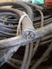 宁夏银川铜电缆回收多少钱一吨
