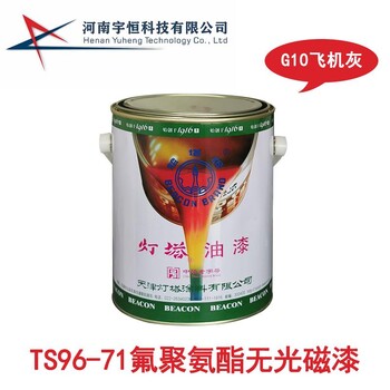 TS96-71氟聚氨酯无光磁漆灯塔制式油漆G10fei机灰可调色