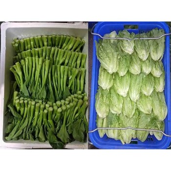 配送農(nóng)副產(chǎn)品公司佛山南海飯?zhí)檬巢呐渌头?wù)公司