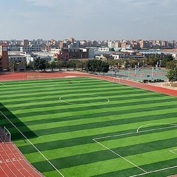 陕西多少钱足球场人造草坪华森仿真植物厂