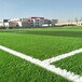 广东华森体育足球场人造草坪价格华森仿真植物厂