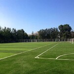 北京多少钱足球场人造草坪华森仿真植物厂