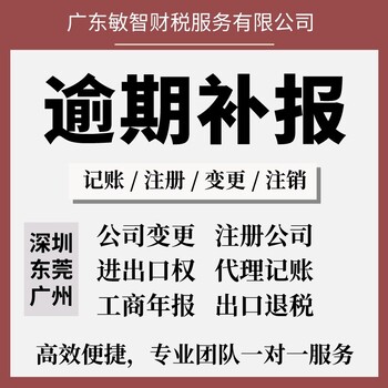 东莞大朗公司代理记账工商税务,公司名称核准,财税咨询服务