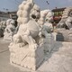 石雕石獅子圖