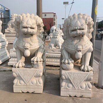 曲阳县门前石雕石狮子制造商