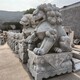 縣漢白玉石雕石獅子圖