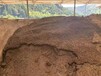 智能納米膜發酵裝置報價納米膜發酵裝置設備