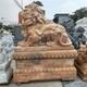 石雕石獅子廠家圖