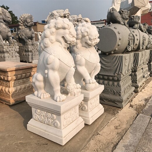 曲陽縣雕刻石雕石獅子加工廠家