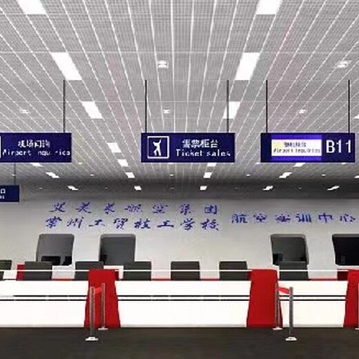 北京大型航空模拟舱飞机场模拟设备租赁