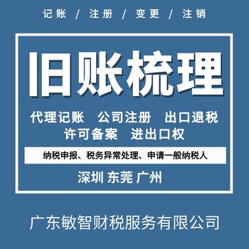 广州南沙公司注册代办企业服务,业务办理,财务代理记账
