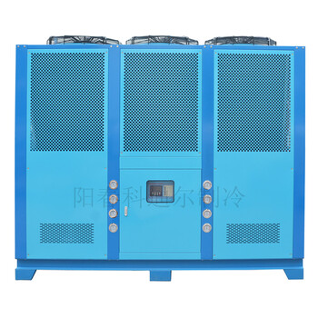 50匹恒溫風(fēng)冷式冷冰機(jī)按需定制工業(yè)冷水機(jī)機(jī)組