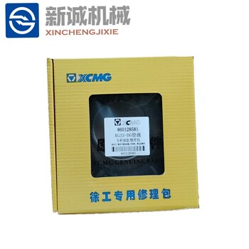 徐工油缸斗桿修理包型號徐液油封