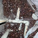 深圳順華房屋自來(lái)水管漏水探測(cè)衛(wèi)生間暗管查漏寶安管道漏水探測(cè)