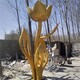 縣廣場不銹鋼花朵雕塑圖