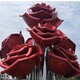曲阳县广场不锈钢花朵雕塑产品图