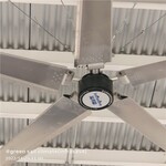 山东滨州大型工业风扇生产厂家工业大吊扇