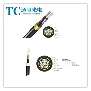 全介质自乘式光缆ADSS-24B1-600adss光缆厂家