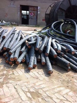 上海宝山橡套电缆矿缆回收价格表