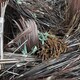 陽江工廠廢舊閑置機械設(shè)備電線電纜回收原理圖