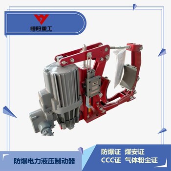YWZ5-200/30粉塵制動(dòng)器用途