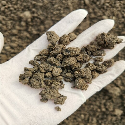 晉中曬干羊糞廠家
