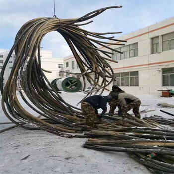 北海从事回收电缆线公司
