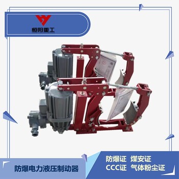 BYWZ5-315/80氣體制動(dòng)器貨源
