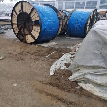 杭州从事回收电缆线公司