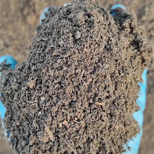 太原曬干羊糞多少錢(qián)一噸