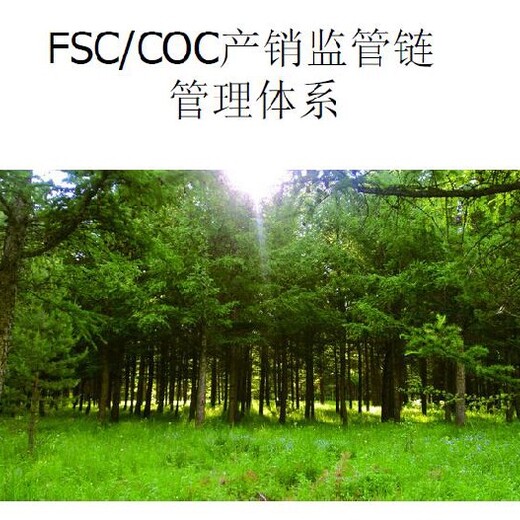 宁德FSC认证办理FSC森林认证