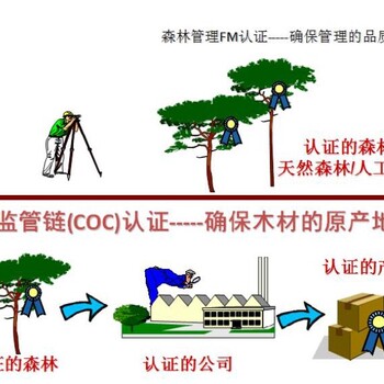 厦门FSC认证办理机构-FSC森林认证