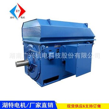 6KV高壓電機(jī)生產(chǎn)廠家批發(fā)
